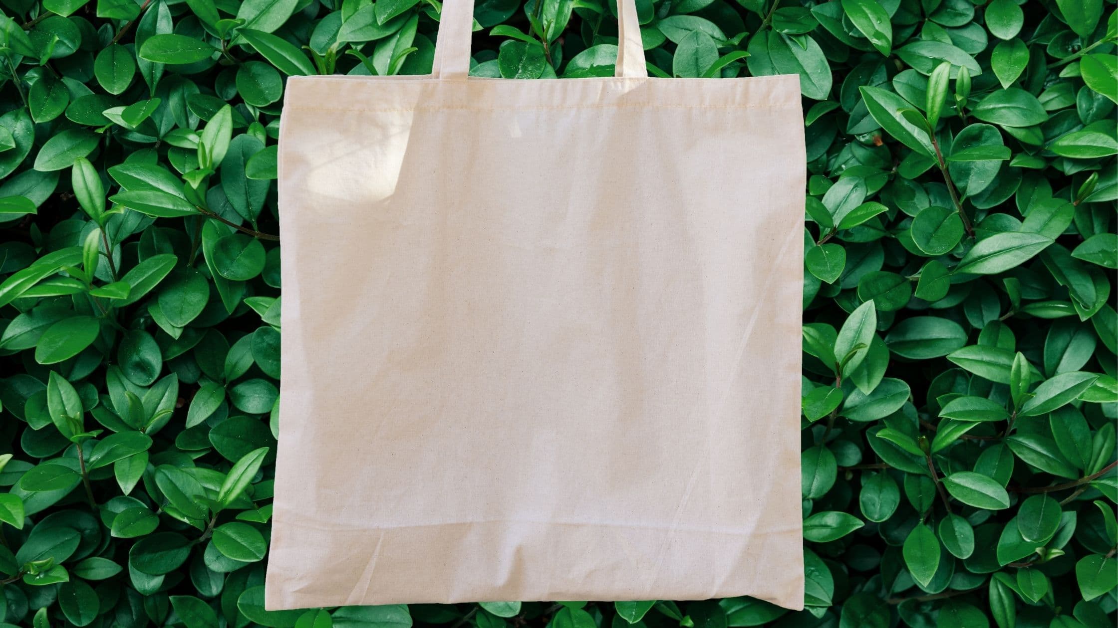 Go Green Economy Tote Bag